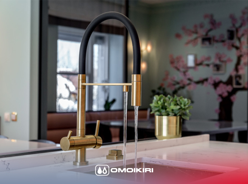 Сантехника Omoikiri на сайте официального дилера