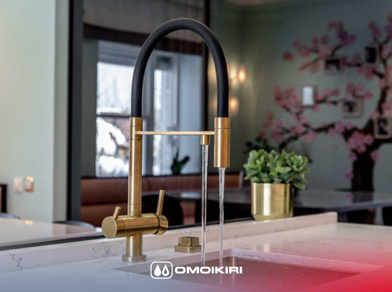 Сантехника Omoikiri на сайте официального дилера